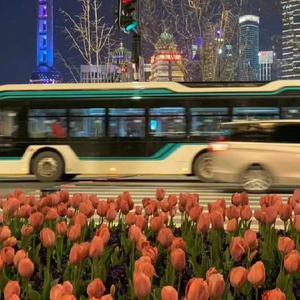 国产成人久久蜜一区二区
